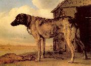 POTTER, Paulus Watchdog oil painting artist